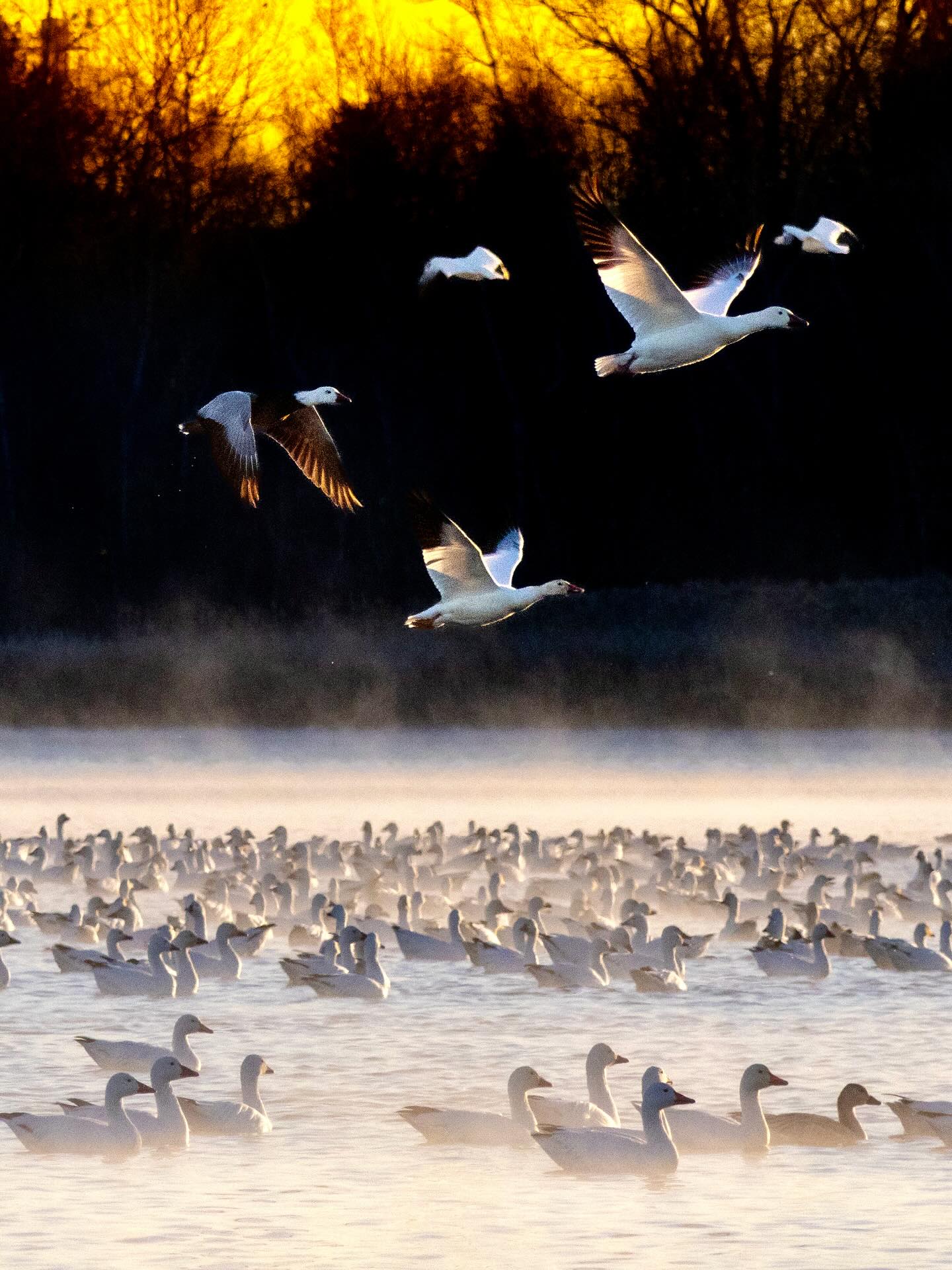 Photograph by Charlotte Gaillard