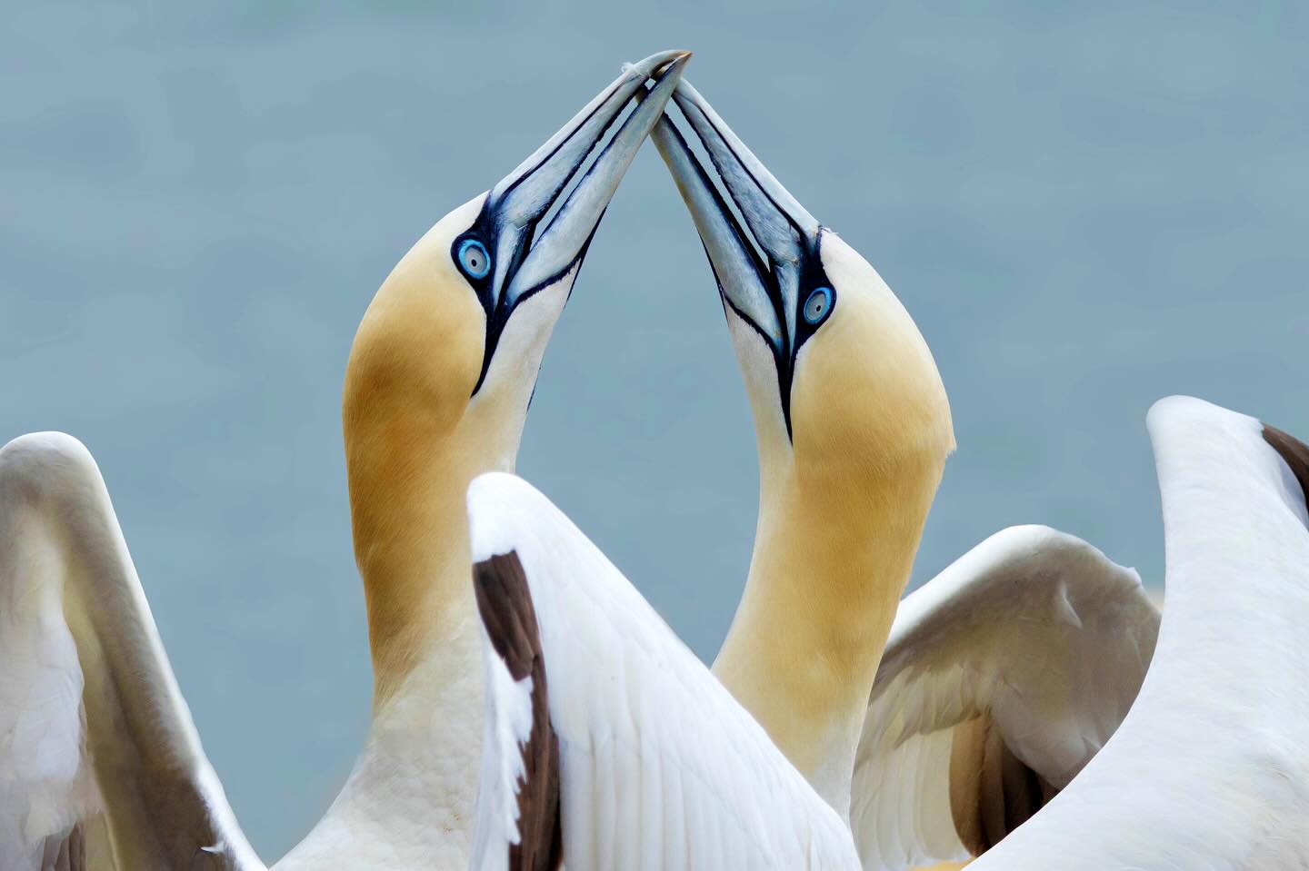 Photograph by Charlotte Gaillard