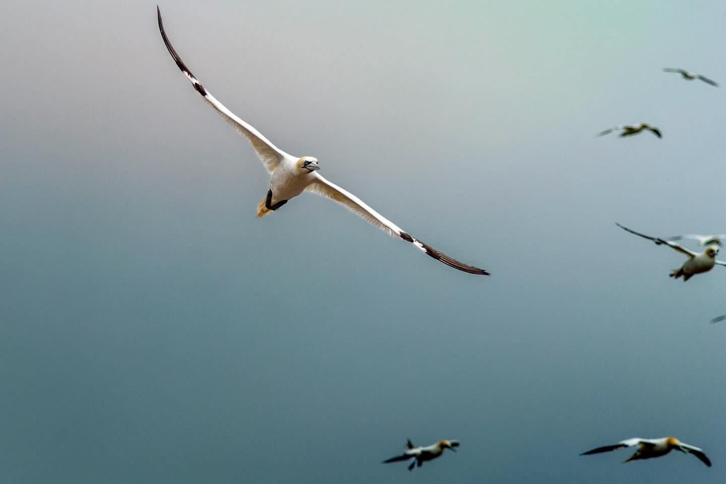 Photograph by Charlotte Gaillard