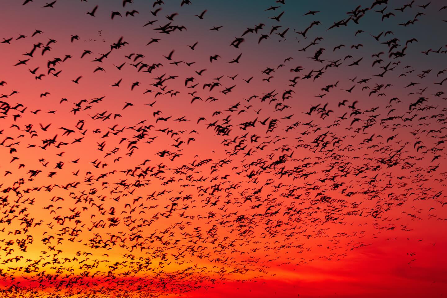 Photograph by Charlotte Gaillard