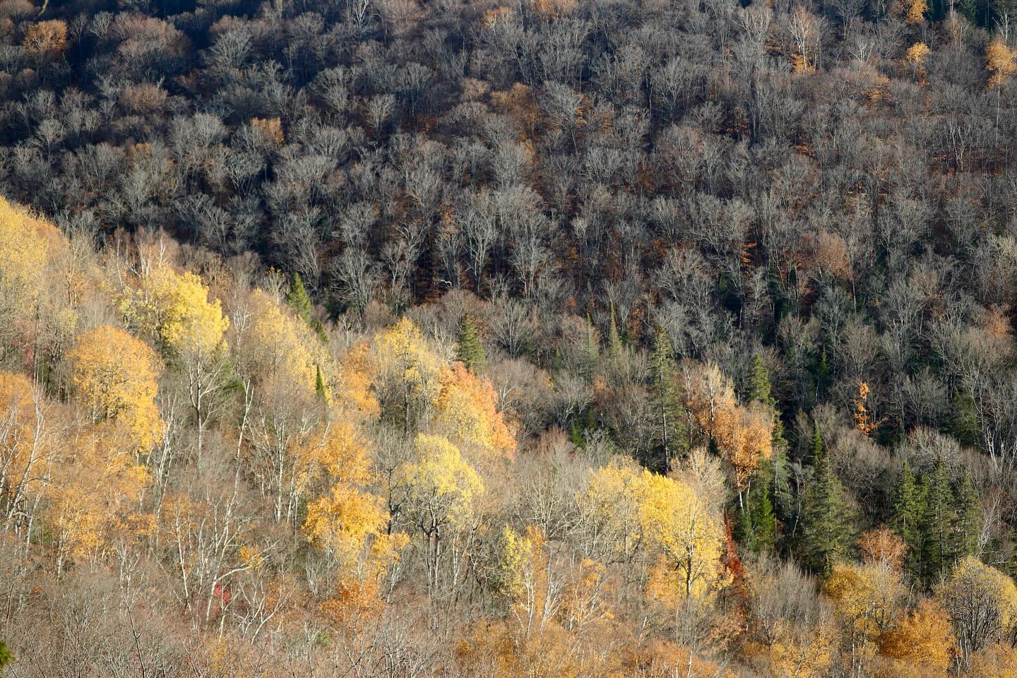 Photograph by Charlotte Gaillard