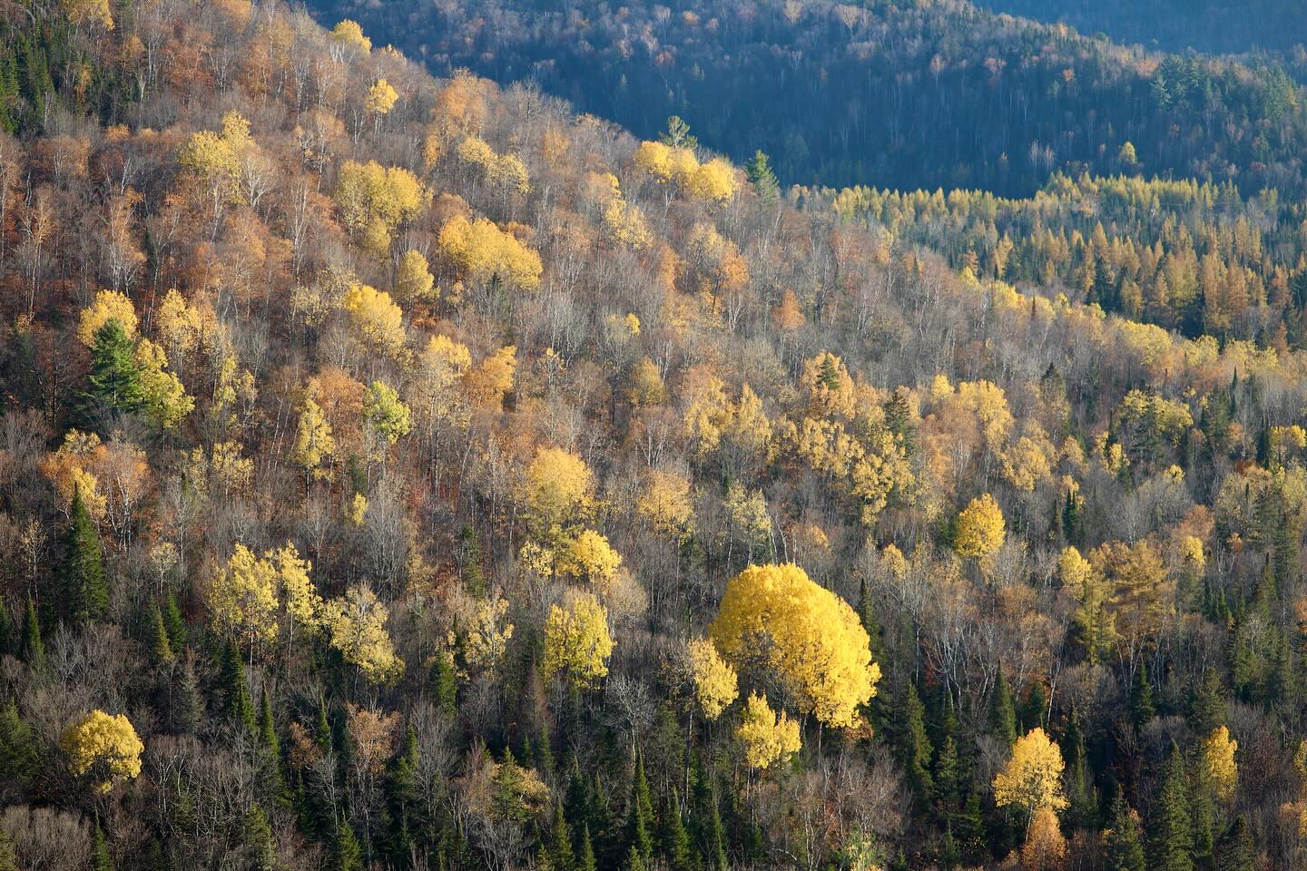 Photograph by Charlotte Gaillard