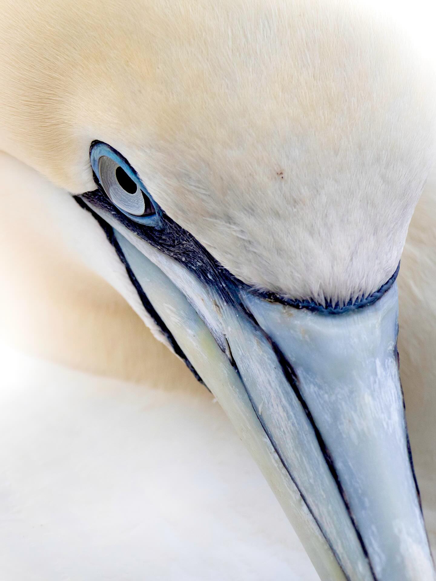 Photograph by Charlotte Gaillard