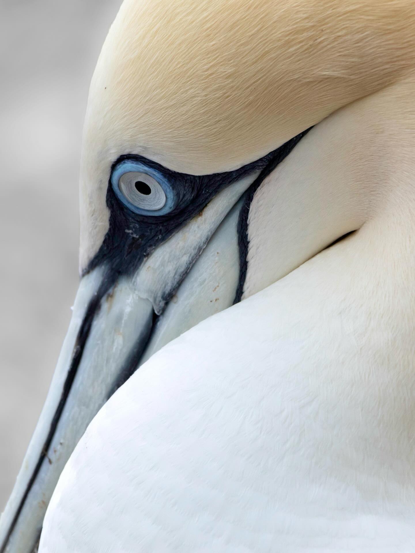 Photograph by Charlotte Gaillard