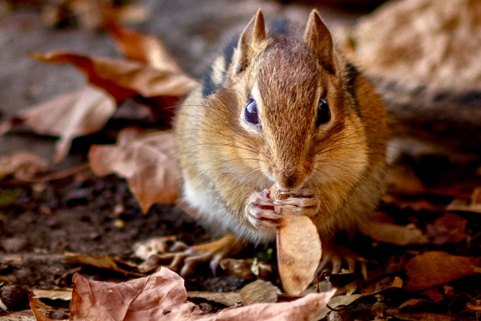 Photograph by Charlotte Gaillard