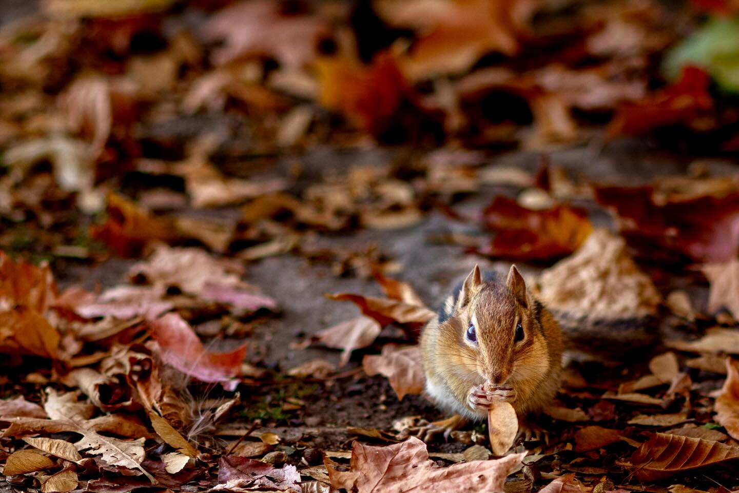 Photograph by Charlotte Gaillard