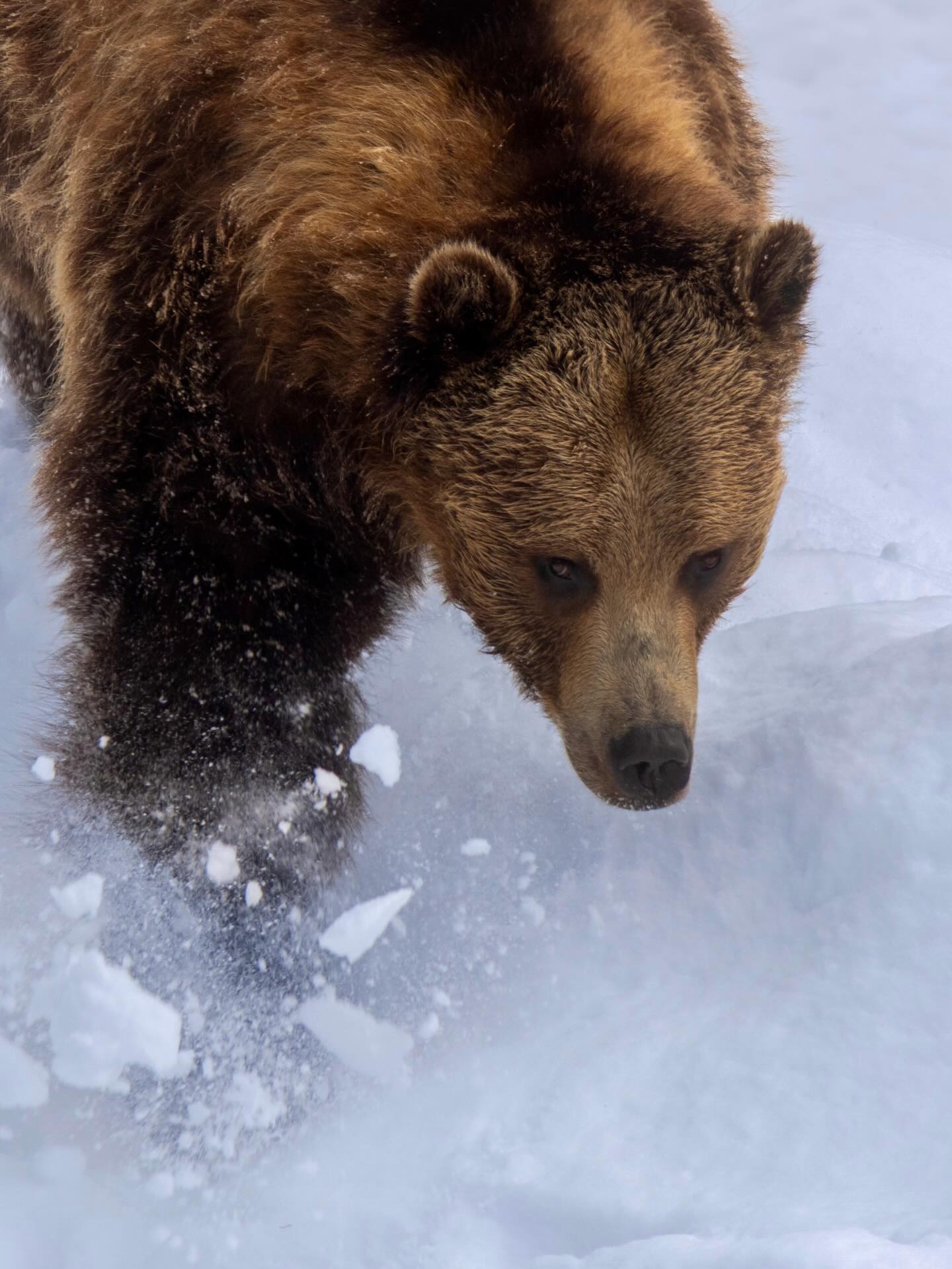 Photograph by Charlotte Gaillard