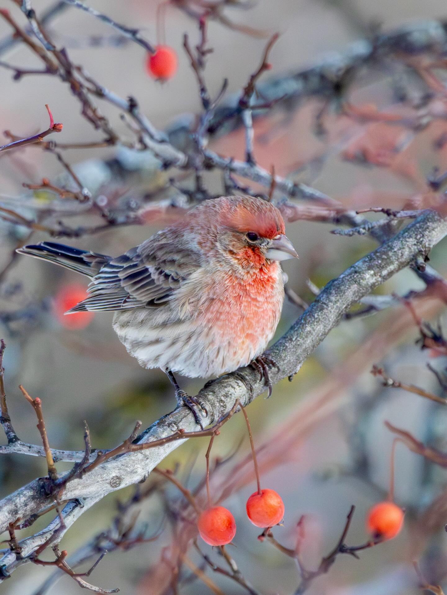 Photograph by Charlotte Gaillard
