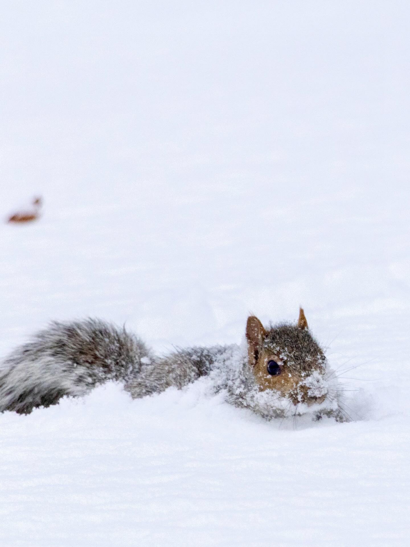 Photograph by Charlotte Gaillard