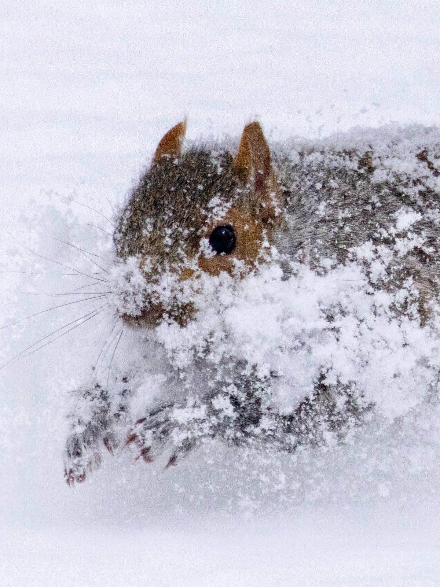 Photograph by Charlotte Gaillard